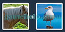 Just 2 Pics (Blue Boat): Level 77 Answer