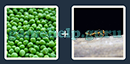 Just 2 Pics (Blue Boat): Level 95 Answer
